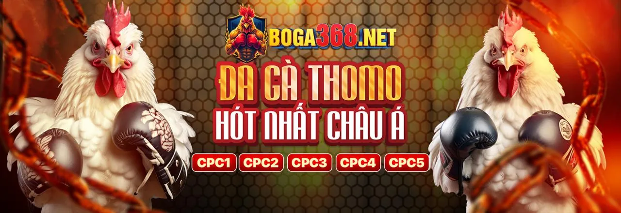 Đá gà kịch tính tại SF88 Trang Chủ Chính Thức